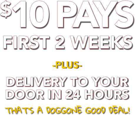 $10 pays the first 2 weeks! Plus delivery to your door in 24 hours. That's a doggone good deal.