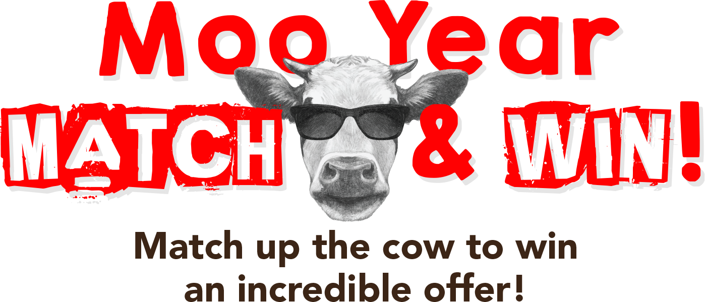 Mike’s Rent to Own RentToOwn Store Appliance, Electronics