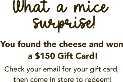 What a mice surprise! You found the cheese and won a $150 Gift Card! Check your email for your gift card, then come in store to redeem!